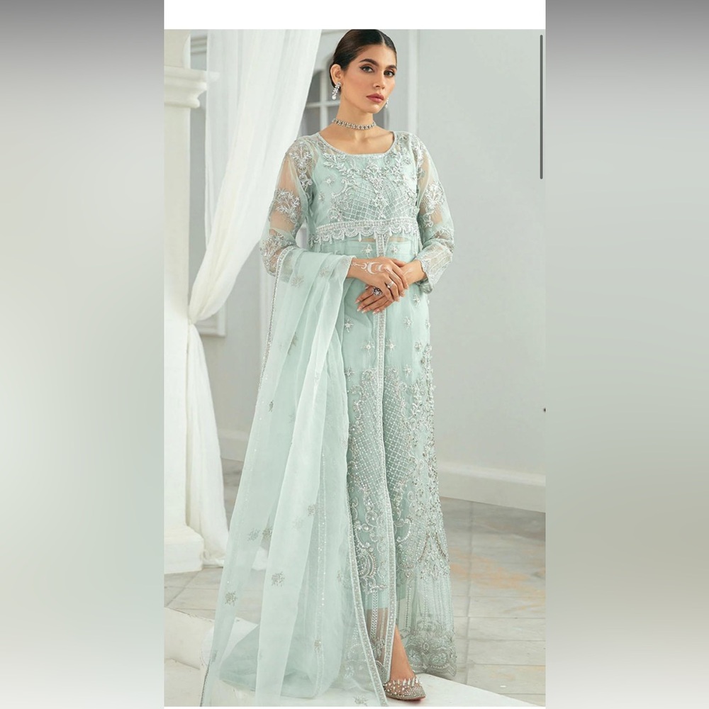 Vanya Pret embroidered organza 2 piece suit
